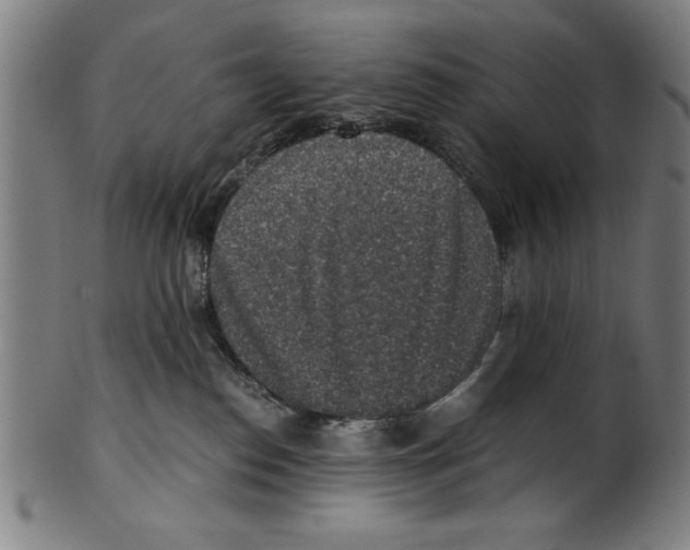 X0000100900186200807221000