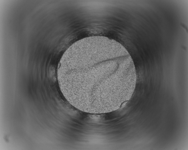 X0000100900187200807221000