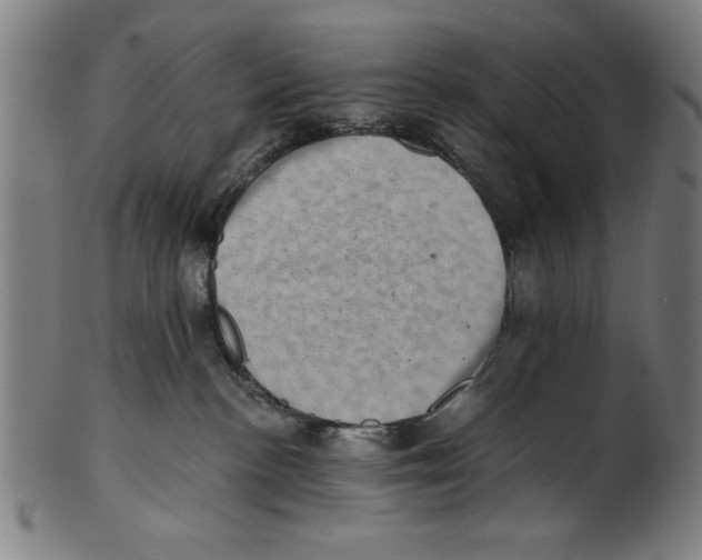 X0000100900188200807221000