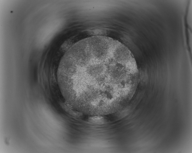 X0000100900189200807221000