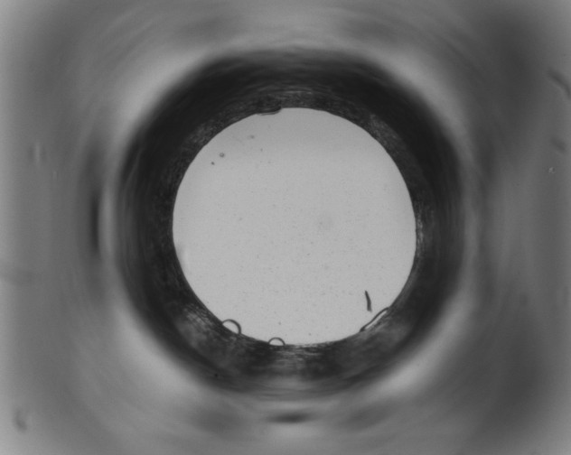 X0000100900190200807221000