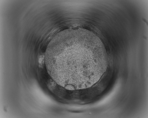 X0000100900191200807221000