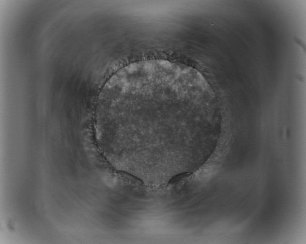 X0000100900192200807221000