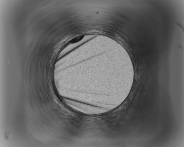 X0000100900193200807221000