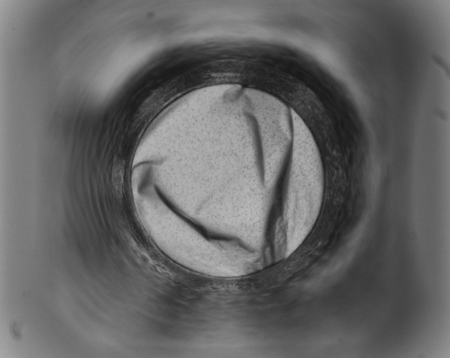 X0000100900194200807221000