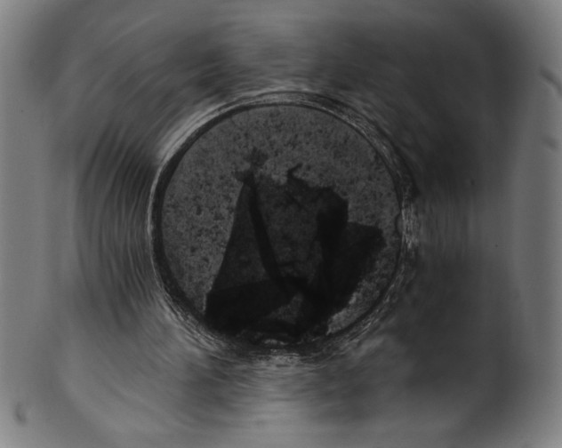 X0000100900196200807221000