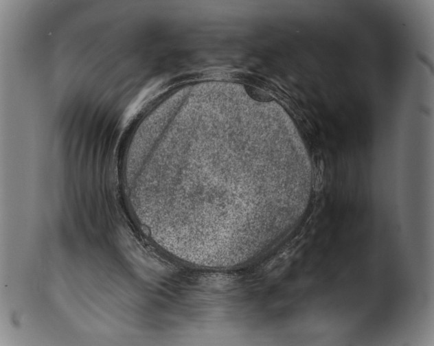 X0000100900198200807221000