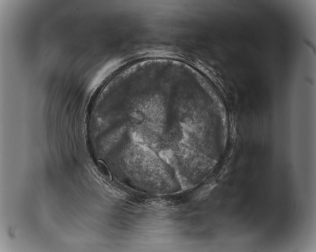 X0000100900199200807220959