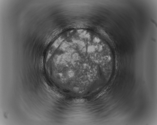 X0000100900202200807220959