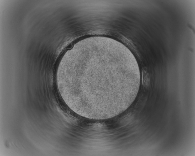 X0000100900204200807220959