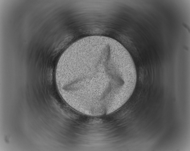 X0000100900206200807220959