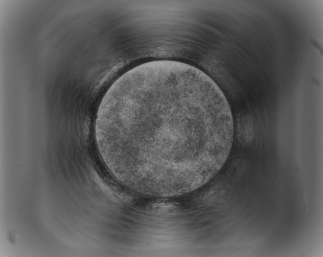 X0000100900208200807220959