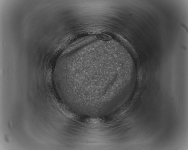 X0000100900209200807220959