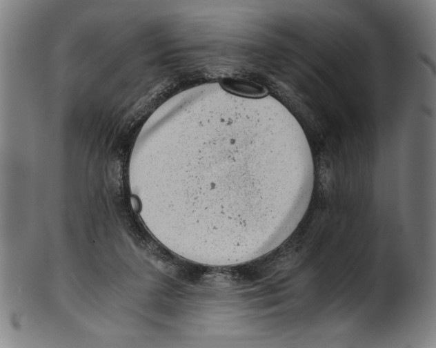 X0000100900211200807220959