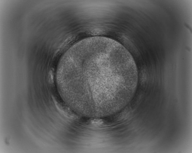 X0000100900214200807220959