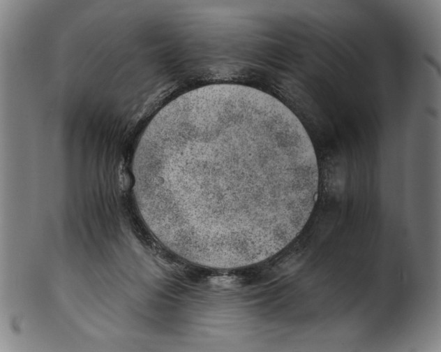 X0000100900216200807220959