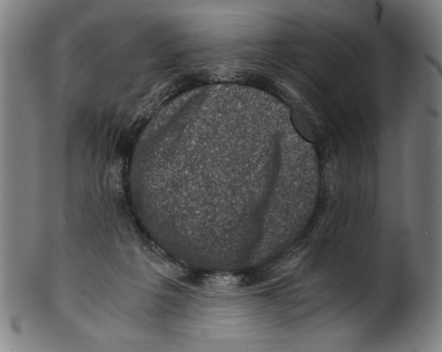 X0000100900217200807220959