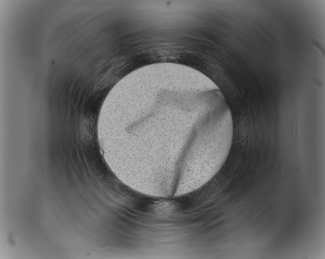 X0000100900218200807220959