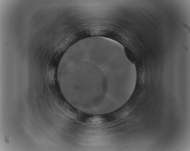 X0000100900219200807220959