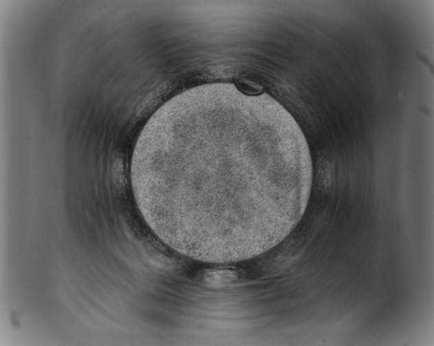 X0000100900220200807220959