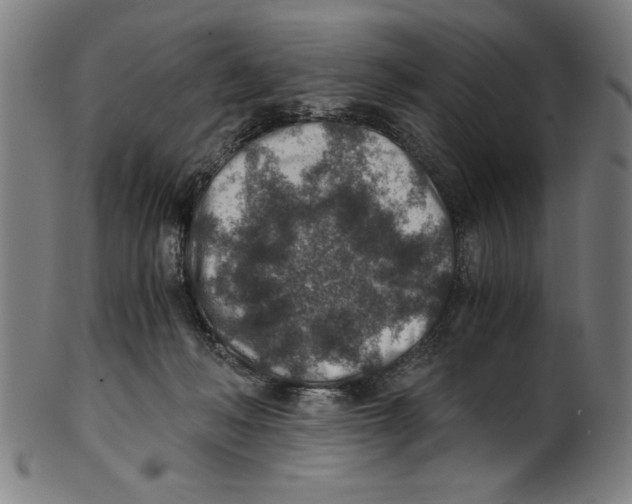 X0000100900222200807220959