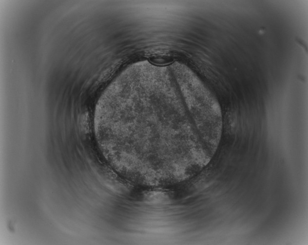 X0000100900224200807220959