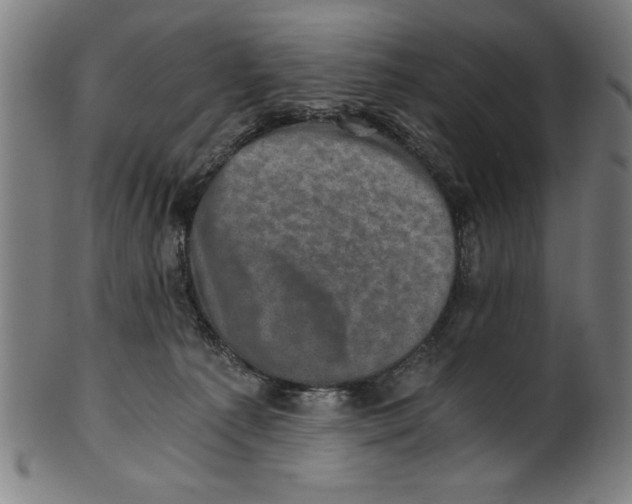 X0000100900225200807220959