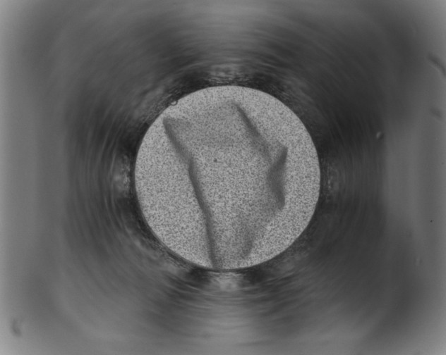 X0000100900226200807220959