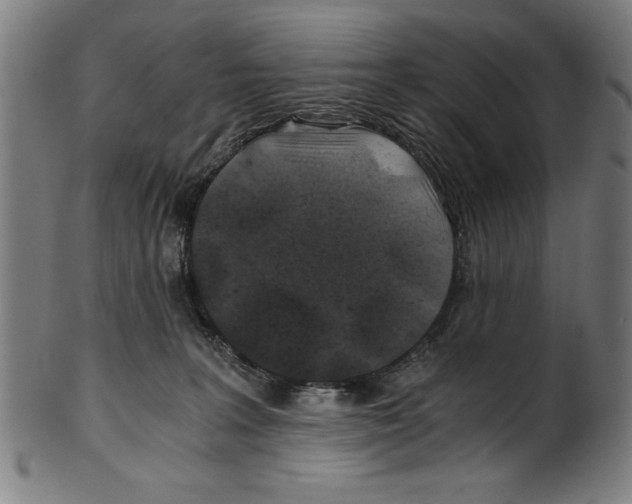 X0000100900227200807220959