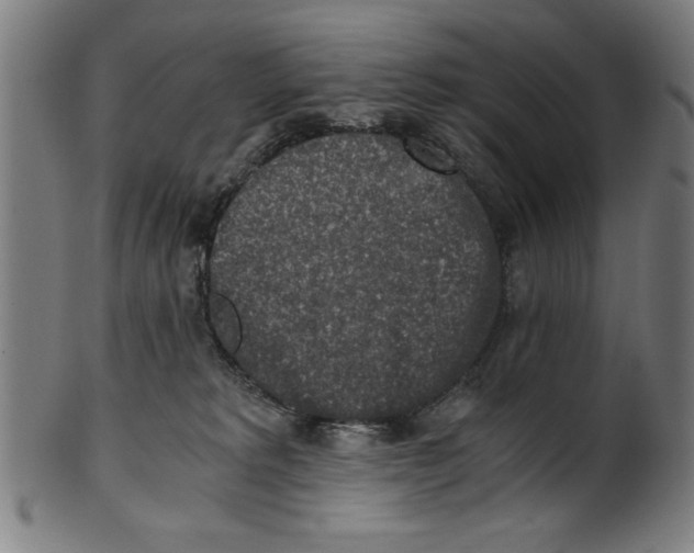 X0000100900229200807220959