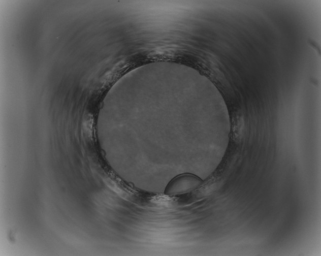 X0000100900231200807220959