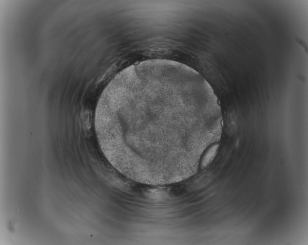 X0000100900232200807220959