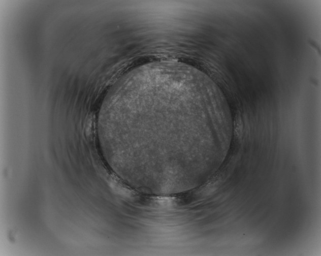 X0000100900233200807220959