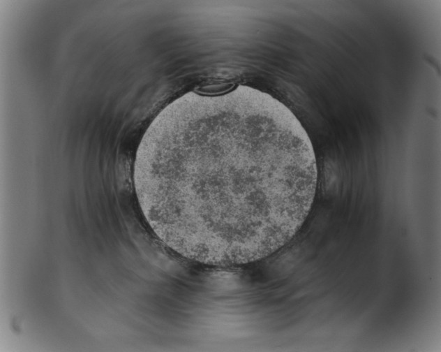 X0000100900236200807220959