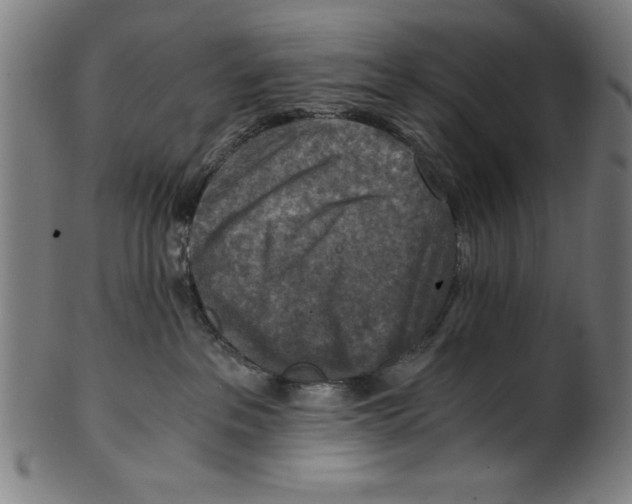 X0000100900237200807220959