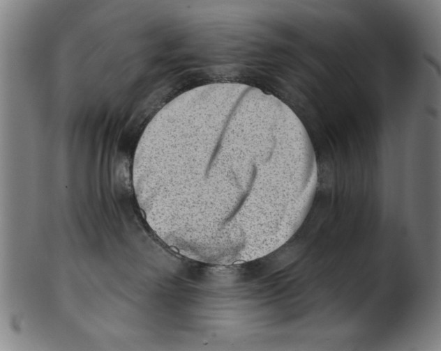 X0000100900238200807220959