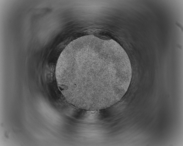 X0000100900240200807220959