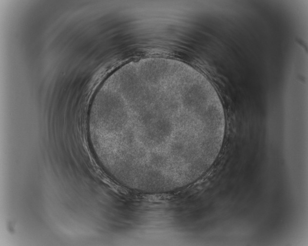 X0000100900241200807220958