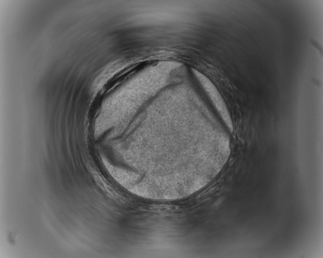 X0000100900242200807220958