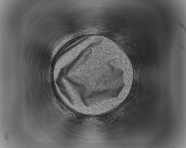 X0000100900244200807220958