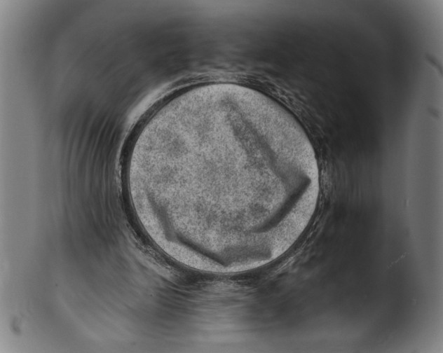 X0000100900246200807220958