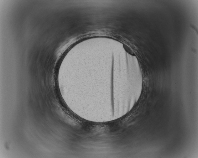 X0000100900248200807220958