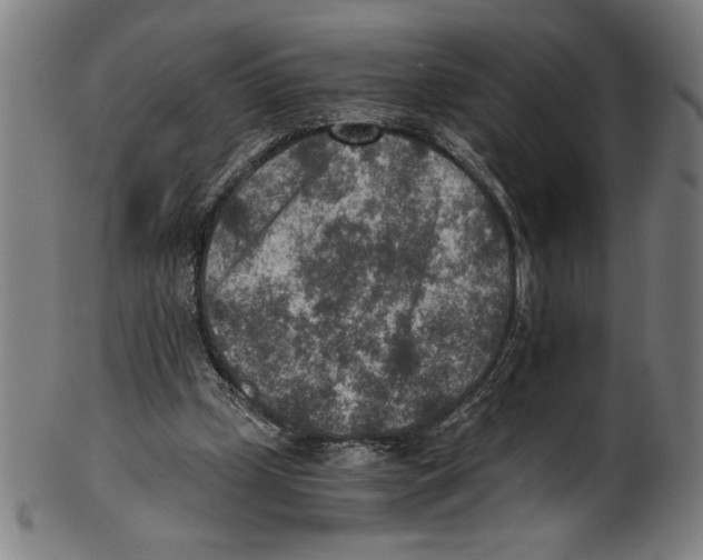 X0000100900249200807220958