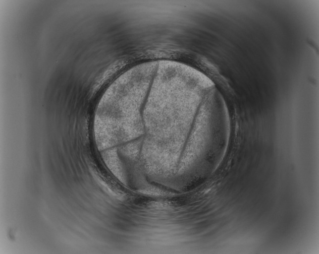 X0000100900250200807220958