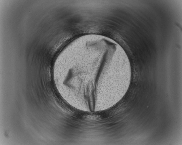 X0000100900251200807220958