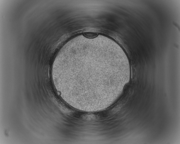 X0000100900253200807220958