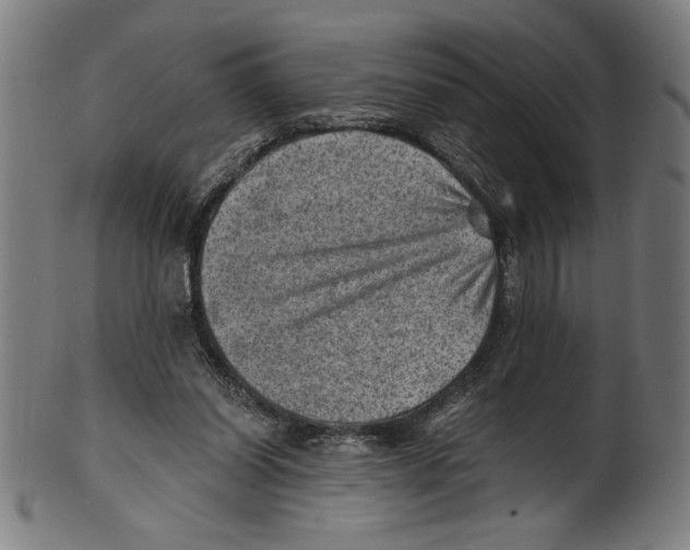 X0000100900254200807220958