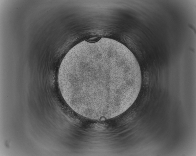 X0000100900255200807220958