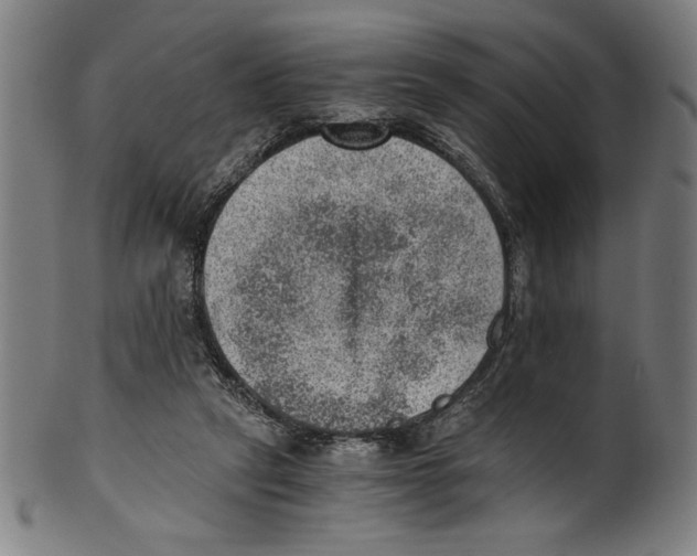 X0000100900257200807220958