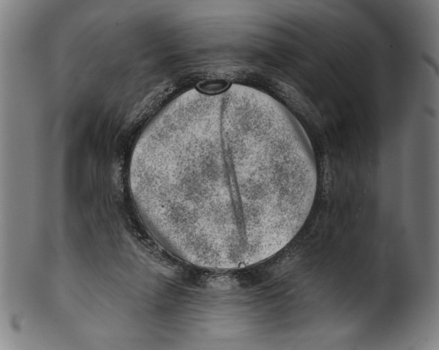 X0000100900258200807220958